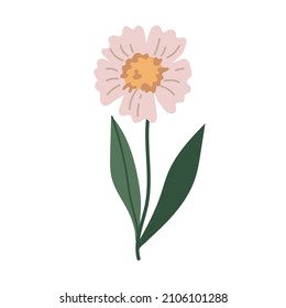botanical plant simple vector doodle flower illustrations, spring and summer plants and foliage isolated on a white background