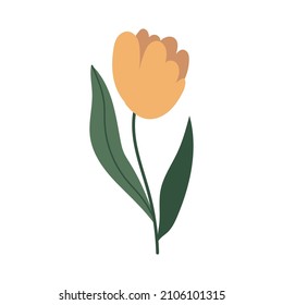 planta botánica simple vectorial dibujos de flores de doodle, plantas de primavera y verano y follaje aislados en fondo blanco