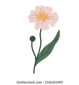 botanical plant simple vector doodle flower illustrations, spring and summer plants and foliage isolated on a white background