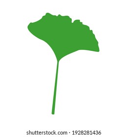 Botanical plant vector flat ginkgo biloba illustration. Jungle tropical green leaf, herbal element. Stock vector illustration isolated on white background. Can be used as a sign, symbol or icon.
