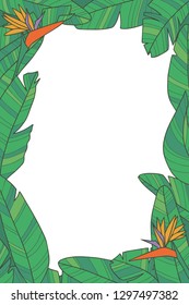 Botanical plant vector frame with green exotic Strelitzia bird of paradise flower leaves on transparent background
