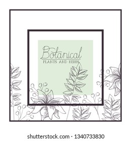 botanical plants and herbs label
