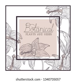 botanical plants and herbs label