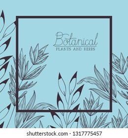 botanical plants and herbs square frame