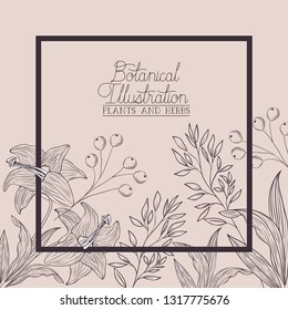 botanical plants and herbs square frame