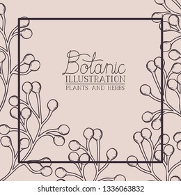 botanical plants and herbs square frame