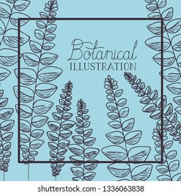 botanical plants and herbs square frame