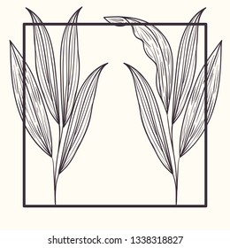 botanical plants and herbs square frame