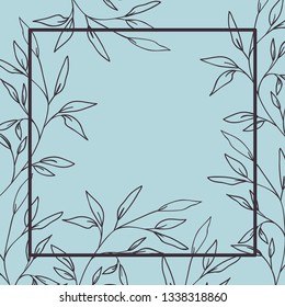 botanical plants and herbs square frame