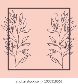 botanical plants and herbs square frame