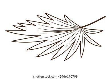 Botanical pointed tropical palm leaf hand drawn line drawing for modern design decoration. Flat style. Vector illustration.