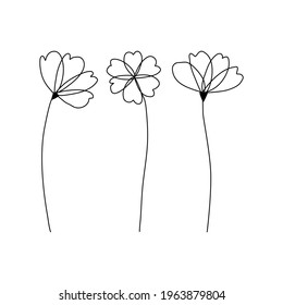 Botanical Poppies flowers continuous line drawing minimalist trendy contemporary floral design for wall art, prints, social media, posters, invitations, branding design.