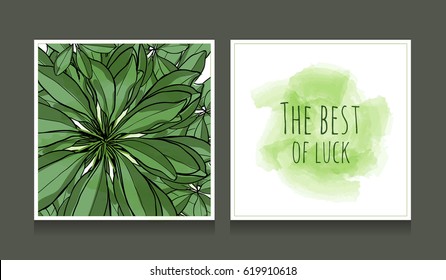 Botanical postcards vector collection. Organic eco products cards. Vector hand drawn illustration.