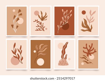 Botanical posters set with algae, corals, plants, floral branches. Modern organic minimalist wall art with seaweeds. Abstract contemporary nature postcards, trendy cards. Flat vector illustrations