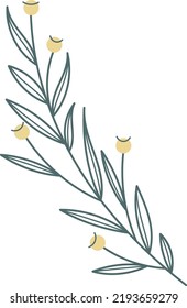 Botanical print element. Yellow flowers herbal branch
