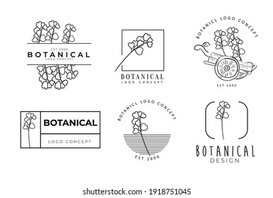 Botanical rand floral graceful hand drawn illustration of logo collection