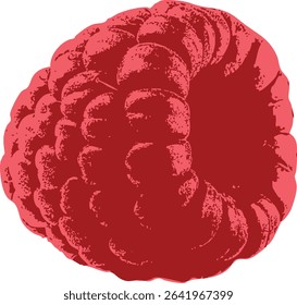 Botanical raspberry berry engraving, simple line art with retro shading. Ideal for vegan food branding, berry-themed merchandise, or handmade jam decor.