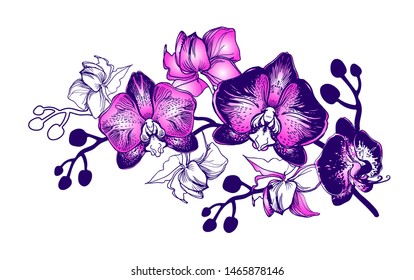 Botanical realistic card with hand drawn tropical flowers Orchids, Phalaenopsis. Perfect for floristic design and printing, greeting cards, posters, banners, textile, wedding invitation. 