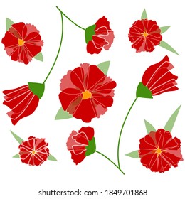 Botanical red flowers. Vector illustration.