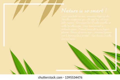 Botanical rustic natural template with pandan leaves, frame and copy space for text. Flat lay, top view, vector illustration.