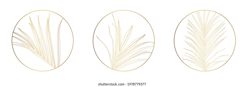 Botanical rustic trendy golden palm leaves logo illustration. Floral logo design. Badges, emblems, logotypes for organic cosmetics, florist, photography, wedding logos.