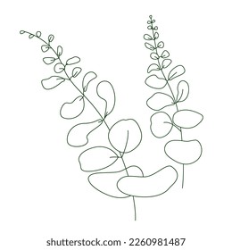 Botanical rustic trendy greenery vector design for invitation save the date card, organic cosmetics, medicine, aromatherapy