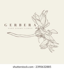 Ilustración de flores de gerbera tropical de moda botánica. Diseño del logotipo de la línea floral. Insignias, emblemas, logotipos para cosméticos orgánicos, floristería, logotipos fotográficos.