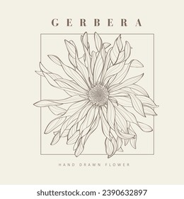 Ilustración de flores de gerbera tropical de moda botánica. Diseño del logotipo de la línea floral. Insignias, emblemas, logotipos para cosméticos orgánicos, floristería, logotipos fotográficos.