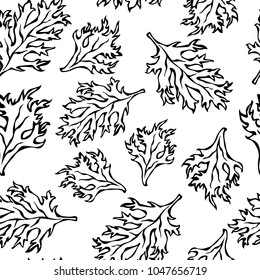 Botanical Seamless Endless Pattern of Green Curley Parsley Leaves. Background With Aromatic Herb. Fresh Cooking Salad Ingredient. Hand Drawn Illustration. Savoyar Doodle Style.