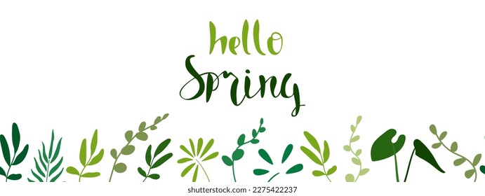 Botanical seamless frame with tropical leaves, plants, eucalyptus branches in muted green tones. Hello Spring. Rectangular vector illustration in naive style for promotion, discounts, advertising.