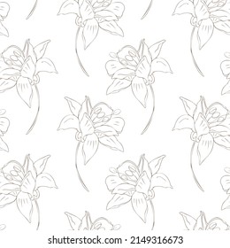Botanical seamless pattern aconitum (wolf's bane). Illustration of wild flowers 