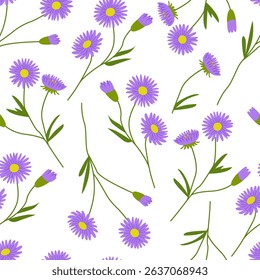 Botanical seamless pattern with aster flower branches and leaves. Vector flat floral background