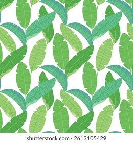 botanical seamless pattern, banana leaves wallpaper on white background