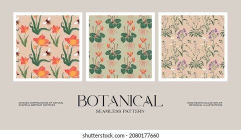 Colección de patrones sin soldadura botánica para el diseño de papel o embalaje
