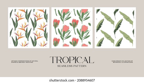 Botanical seamless pattern collection for wrapping paper or packaging design