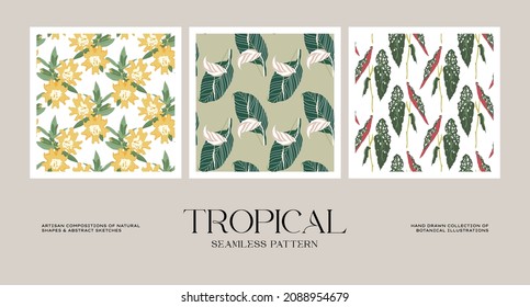 Botanical seamless pattern collection for wrapping paper or packaging design