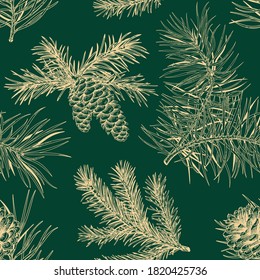 Botanical seamless pattern with conifers. Christmas print. Vector illustration. Green background and golden pattern. 