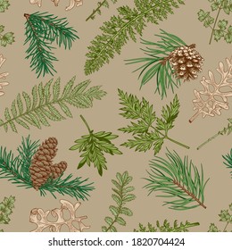 Botanical seamless pattern with fir and pine branches, cones, fern and leaves. New year print. Beige background and colorful pattern.