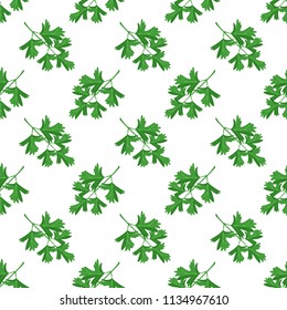 Botanical seamless pattern with green parsley leaves on white background. Healthy greens, herbs pattern. Vector herbal wallpaper.