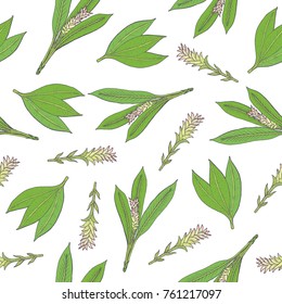 Botanical seamless pattern with green turmeric leaves and inflorescences hand drawn on white background. Backdrop with gorgeous medicinal flowering plant. Colorful natural vector illustration.