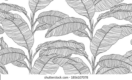 Botanical Seamless Pattern, Hand Drawn Line Art Banana Tree On White