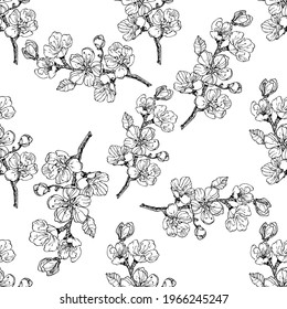 Botanical seamless pattern. Hand drawn black and white bunch of berry cherry. Background with large flowers for textile and fabric. Vintage style.