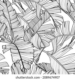 Botanical seamless pattern, hand drawn line art banana leaves on white.  Printable black white wallpaper or textile illustration.