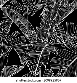 Botanical Seamless Pattern, Hand Drawn Line Art Banana Leaves On Black. Printable Wallpaper Or Textile Illustration.