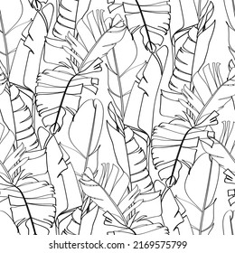 Botanical seamless pattern, hand drawn line art banana leaves on white. Printable wallpaper or textile illustration.