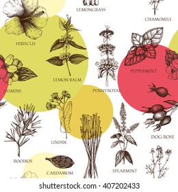 Botanical seamless pattern with  hand drawn herbal tea ingredients. Decorative vector background with vintage medicinal herbs and spice sketch