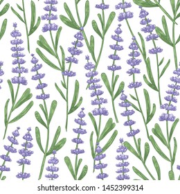 Botanical seamless pattern with lavender flowers hand drawn on white background. Backdrop with meadow flowering plant, blooming wildflower or aromatic herb. Elegant realistic vector illustration.