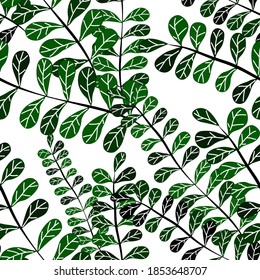 Patrón botánico sin soldadura con hojas. Brillante impresión de verano o primavera para cualquier propósito. Colorida ilustración dibujada a mano. Patrón natural vintage. Fondo orgánico.	