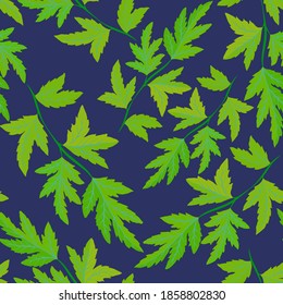 Patrón botánico sin soldadura con hojas. Brillante impresión de verano o primavera para cualquier propósito. Colorida ilustración dibujada a mano. Patrón natural vintage. Fondo orgánico.	