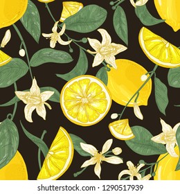 Botanical seamless pattern with lemons, whole and cut into pieces, branches with flowers and leaves on black background. Backdrop with citrus fruits. Elegant vector illustration for textile print.